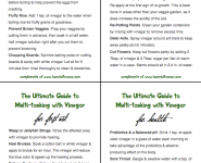 Image of Ultimate Guide to Multi-tasking with Vinegar PDF
