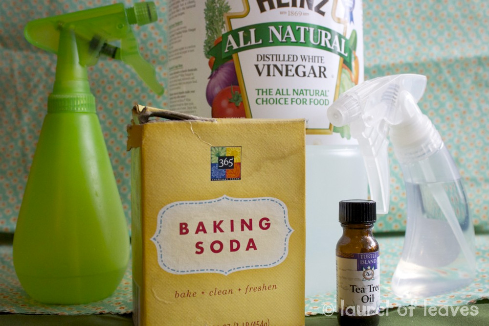 Homemade Cleaning Products