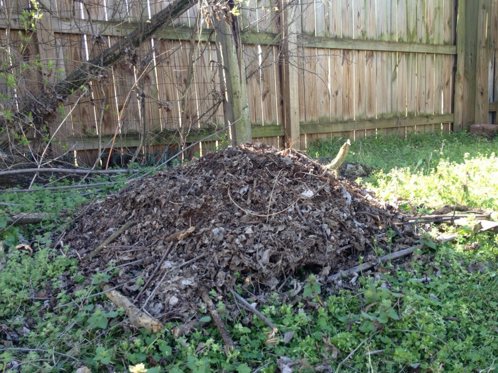 The start of our compost pile