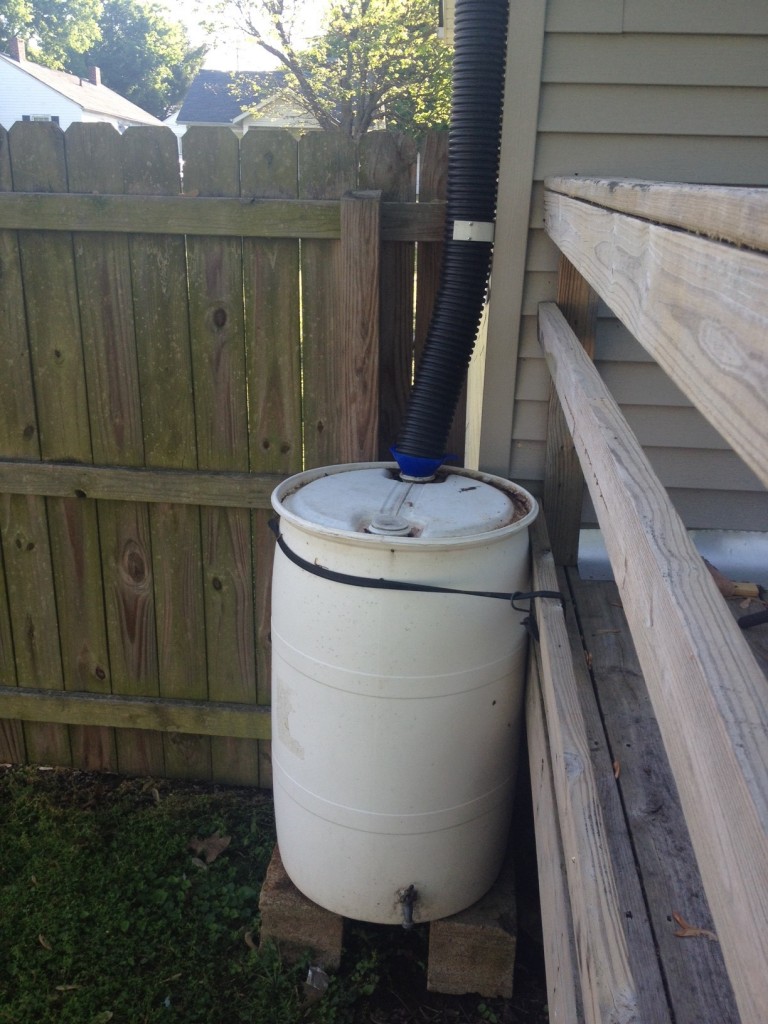 Rain Barrel